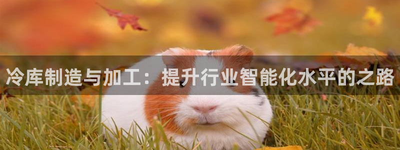 谈球吧综合官网app