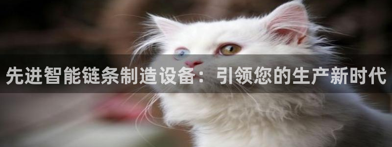 谈球吧首充金额截图
