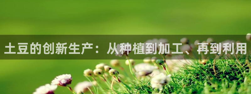 谈球吧红包码