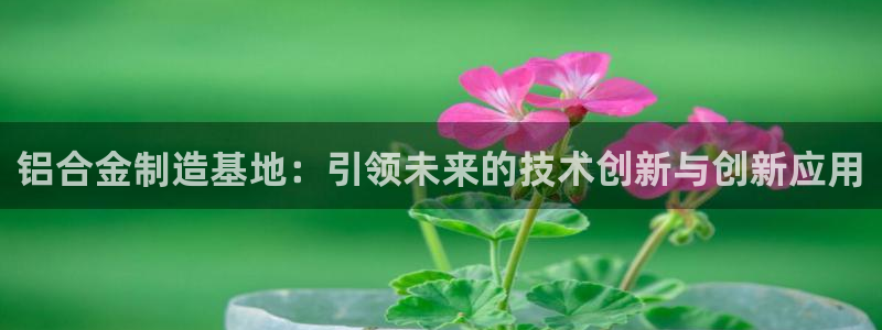 谈球吧app靠谱吗