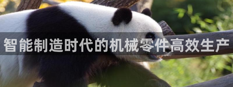 谈球吧红包码
