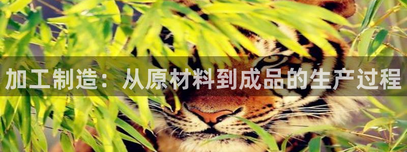 谈球吧官网在线入口免费观看高清版