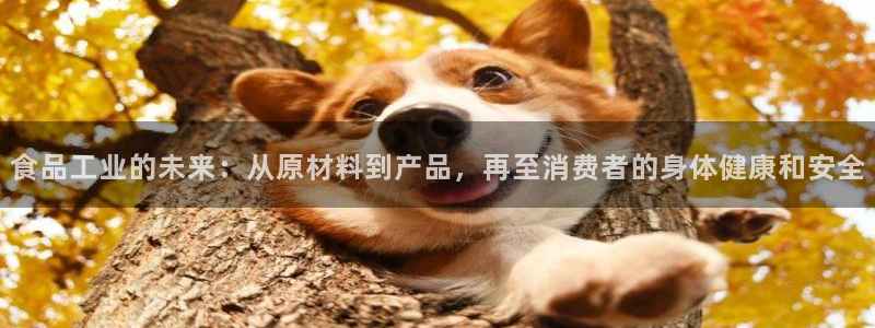 谈球吧体育app登陆不了
