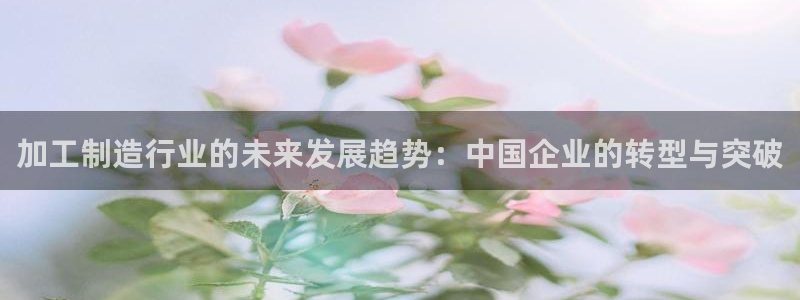 谈球吧官网在线入口免费观看高清版