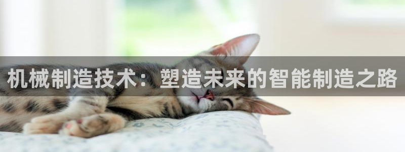 谈球吧买球提现