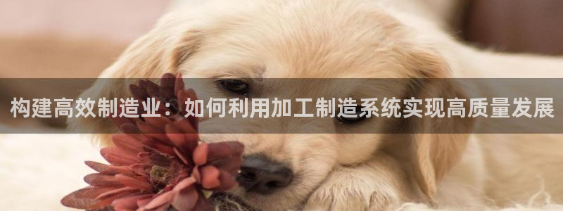 谈球吧App