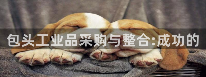 谈球吧官网下载