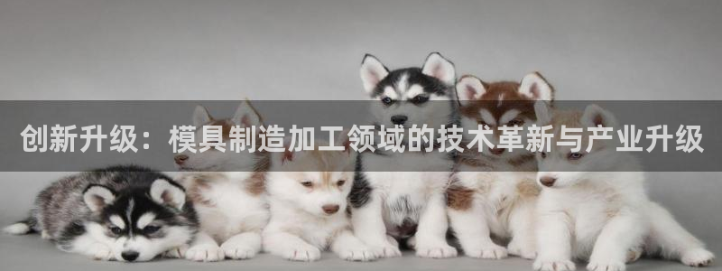 谈球吧体育赛事