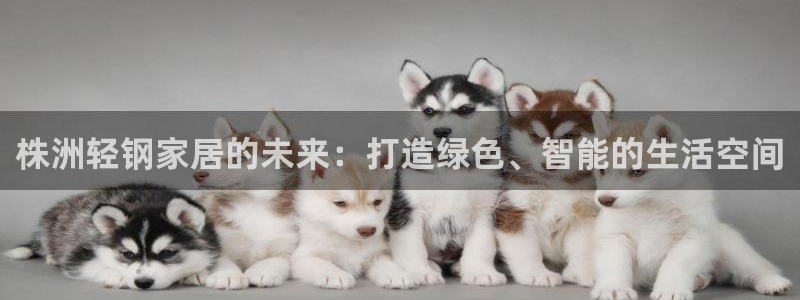 谈球吧平台正规吗可靠吗知乎