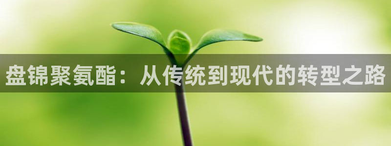 谈球吧网页版