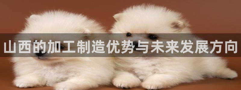 谈球吧官网在线入口手机版免费下载