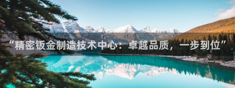 谈球吧的聊天软件