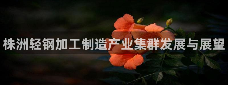 谈球吧体育app下载官网苹果