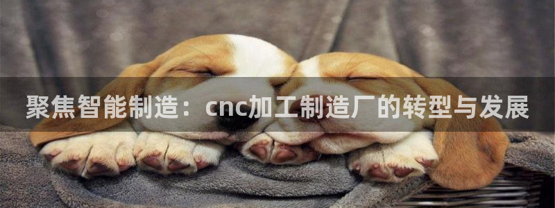 谈球吧平台正规吗可靠吗安全吗