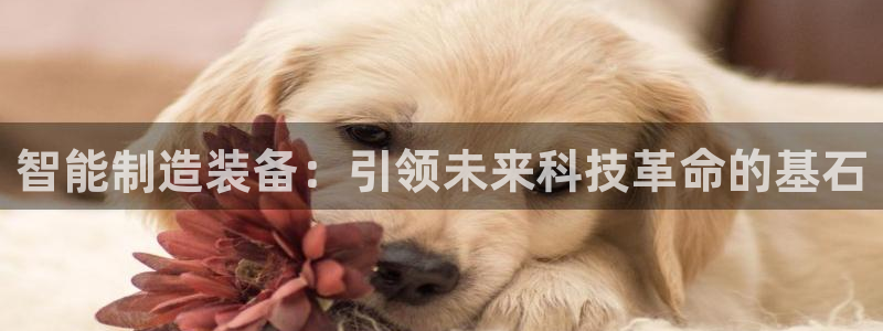 谈球吧与普通平台对比