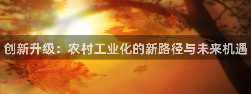 谈球吧网页登陆