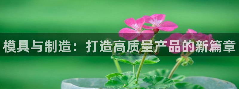 谈球吧算违法行为吗