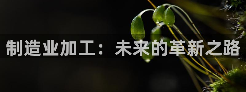 谈球吧体育app登陆