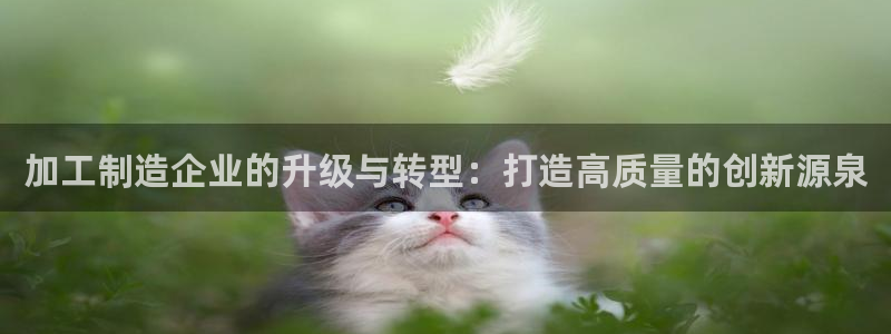 谈球吧是正规平台吗知乎