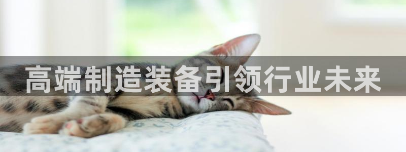 谈球吧体育app下载足球比赛视频