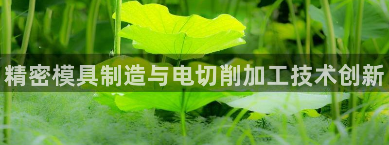 谈球吧app官网下载