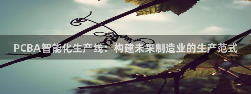 谈球吧出款怎样?