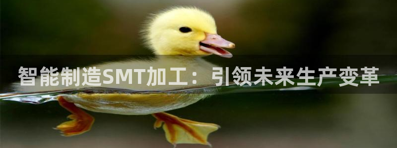 谈球吧官网在线入口手机版下载苹果