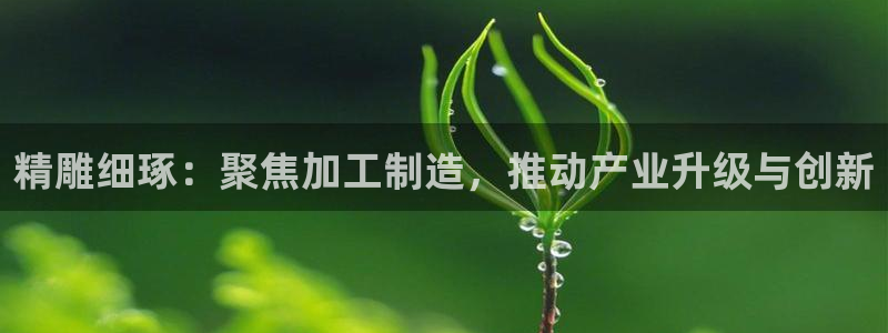 谈球吧官网在线入口免费观看