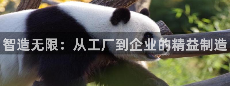 谈球吧app赛事分析在哪里看到