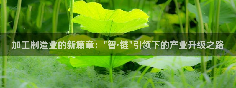 谈球吧app下载安装