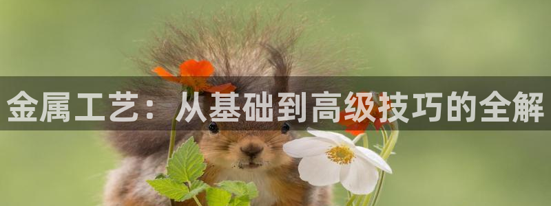 谈球吧综合官网app