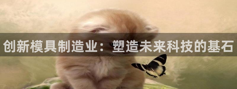 谈球吧买球提现