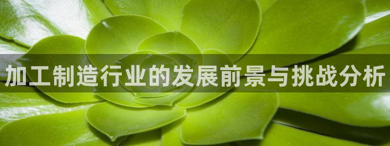 谈球吧登录网