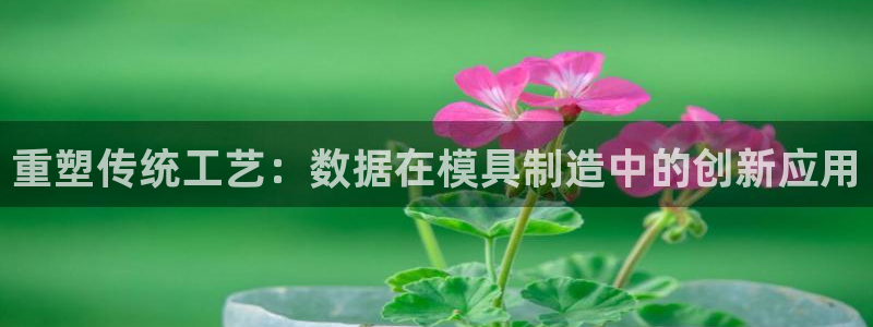 谈球吧网页登录