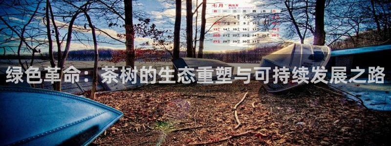 谈球吧app赛事分析
