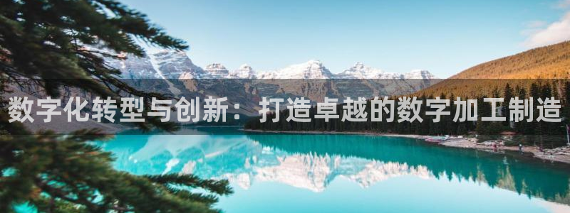 谈球吧平台正规吗可信吗安全吗