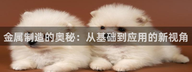 谈球吧app赛事分析报告怎么做