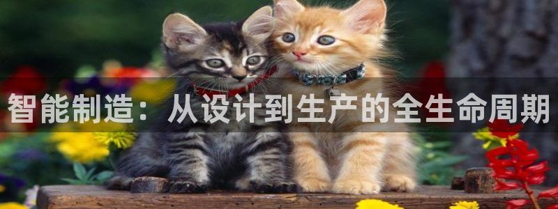 谈球吧体育app下载中心官方最新版