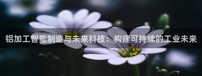 谈球吧官网登录