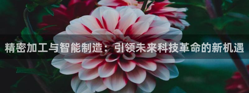 谈球吧论坛
