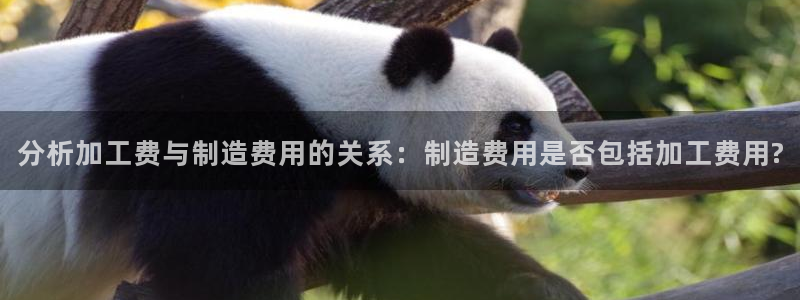 谈球吧体育官网在线入口