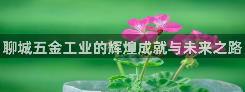 谈球吧App