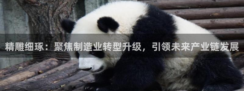 谈球吧官网登录