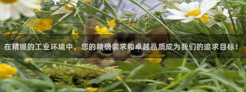 谈球吧app官网下载