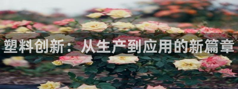 谈球吧官网入口