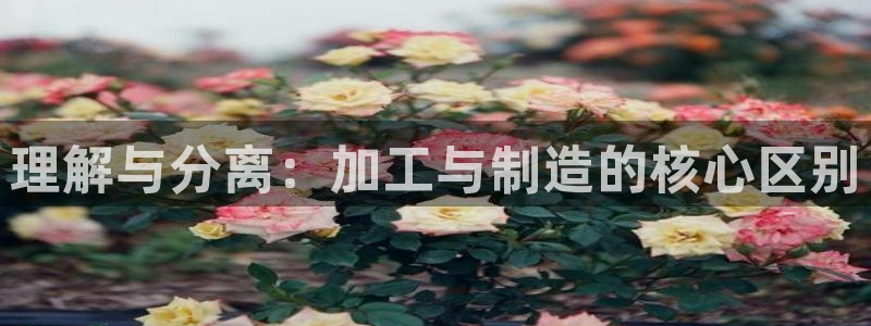 谈球吧的聊天软件下载