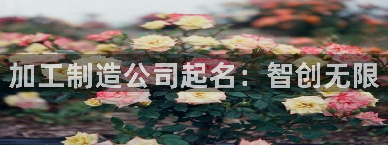 谈球吧体育app登陆不了