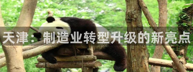 谈球吧体育app登陆入口