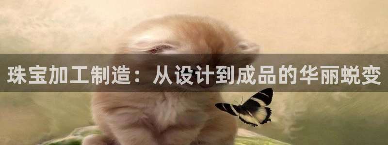 谈球吧体育app下载中心官方最新版