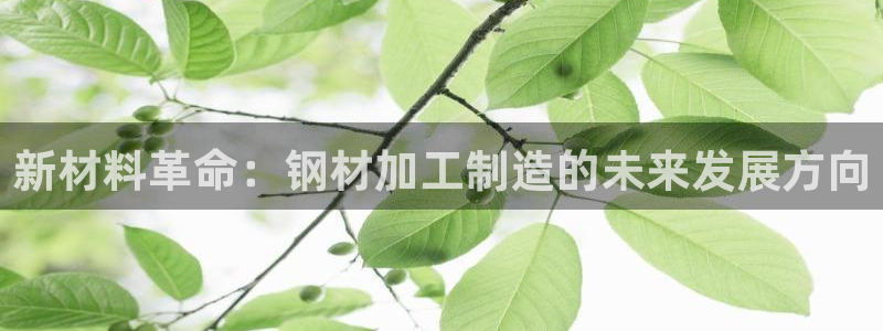 谈球吧官网在线入口手机版下载安装
